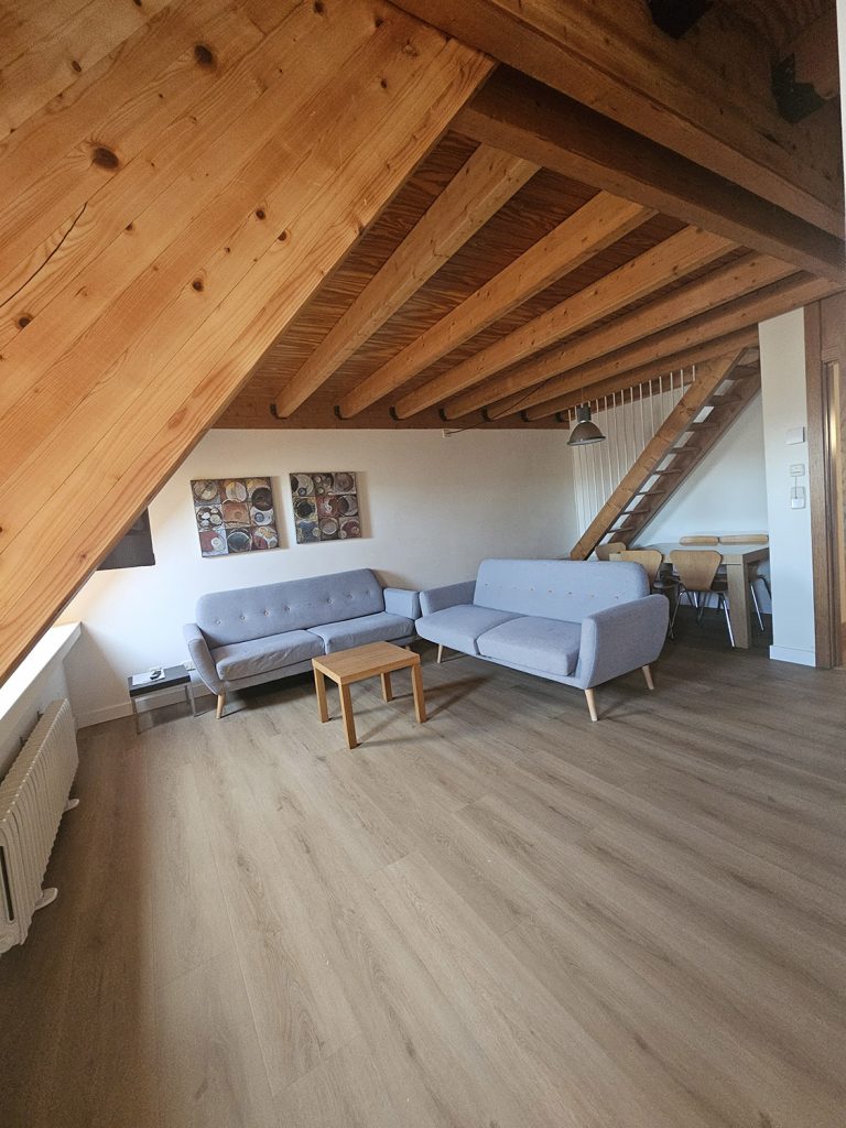 Otra vista de la sala, con dos sillones dobles